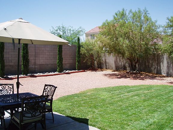 Big Back Yard