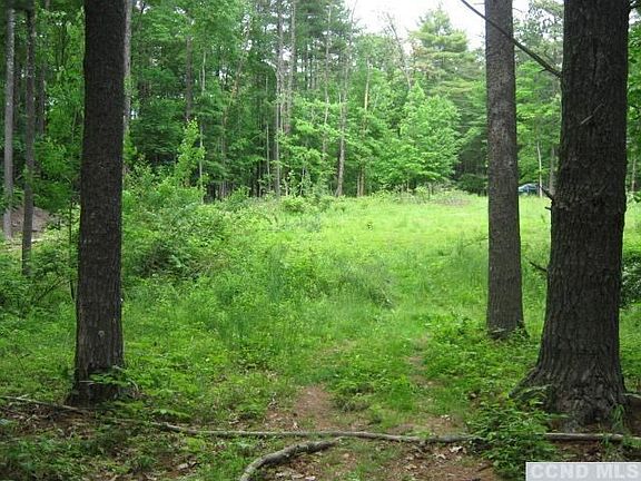 3rd image of 172 Pine Tree Lane