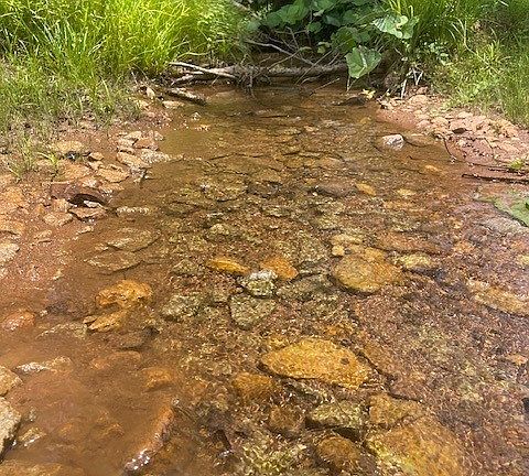 5th image of 5000 Mines Rd