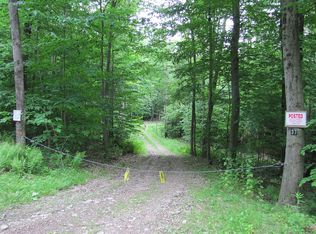 43 Turkey Holw, Campbell, NY 14821