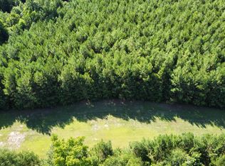 0 Tupperware Rd, Hemingway, SC 29554