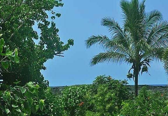 4th image of Kalapana Beach Hvn
