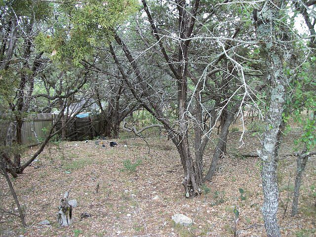 2nd image of 136 Winchester Rd
