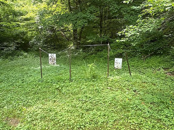53rd image of 131 Gibson Hollow Rd