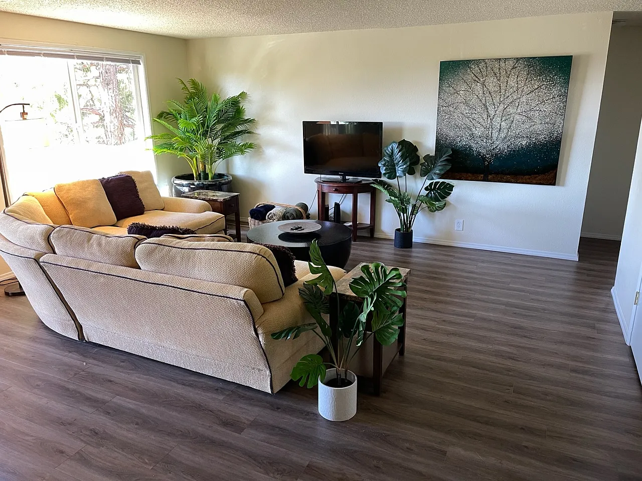 3 bed, 1200 sqft, $1,595 — Photo 2