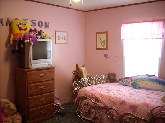 2nd Bedroom (now painted cream)