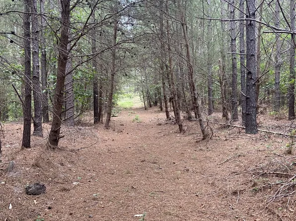 2592 McGee Rd Lot 26, Linden, TN 37096