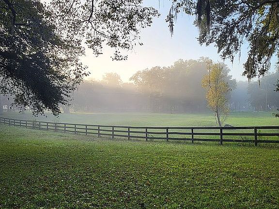Foggy Morning