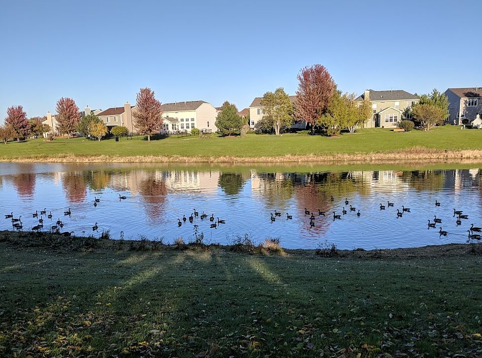 Walking path around pond