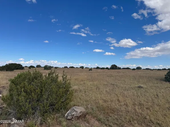 110 Hickory Ln, Concho, AZ 85924