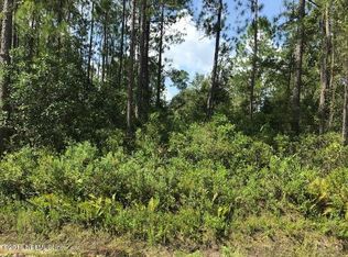 2312 Indigo Ave, Middleburg, FL 32068