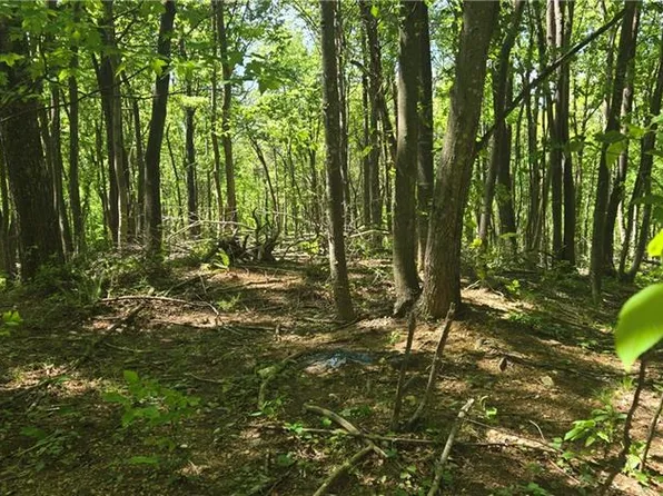 0 Goosecreek Ln, Ararat, VA 24053
