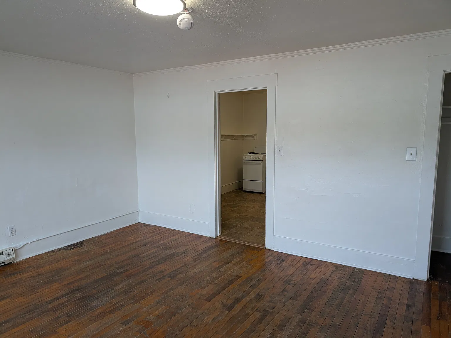 1 bed, $1,250 — Photo 2