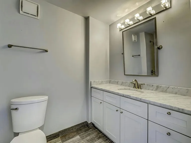 435 W Erie St #1105 — Photo 11