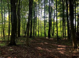 V/L Auburn Rd, Chardon, OH 44024