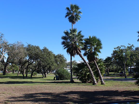 3rd image of 2004 Tule Park Dr