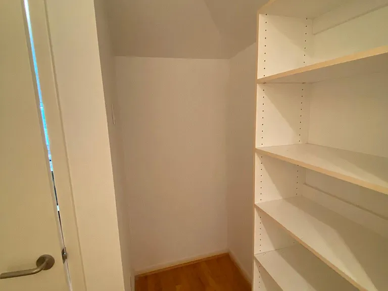 walk in closet extra storage