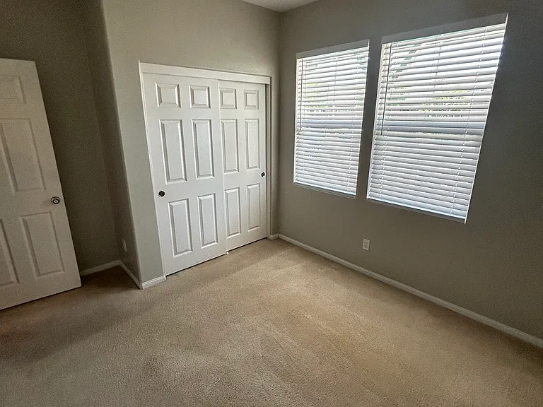 29316 Flame Tree — Photo 2