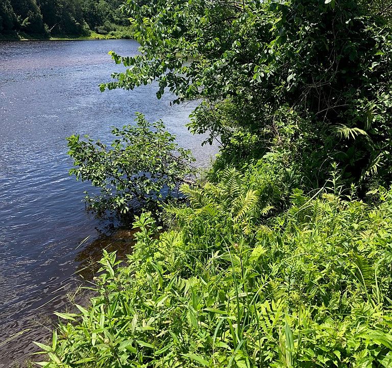 0 Route 3, Saranac, NY 12981 MLS 177594 Zillow