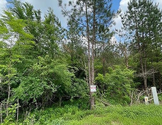 3rd image of 664 Timber Creek Trl
