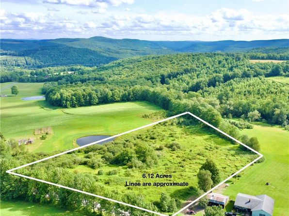 0 Peeters Rd, Schenevus, NY 12155