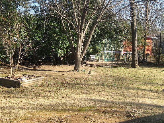 Backyard 3