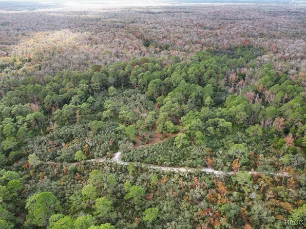 5408 S Benton Ter, Homosassa, FL 34448