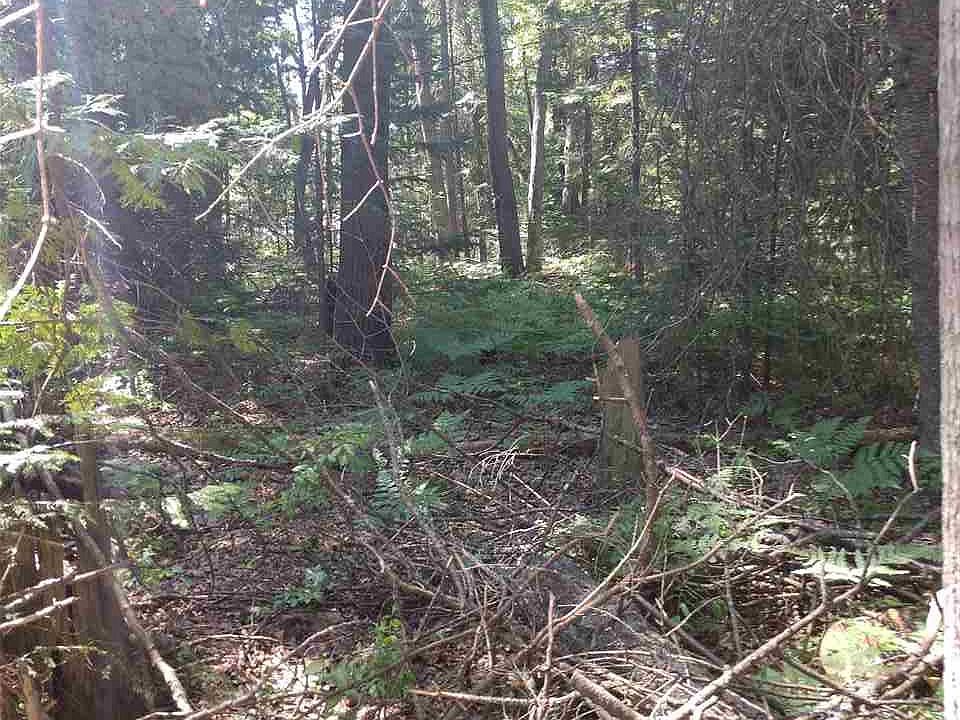 1st image of Whitetail Ct
