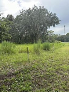 11987 SE Highway 464 #1, Ocklawaha, FL, 32179