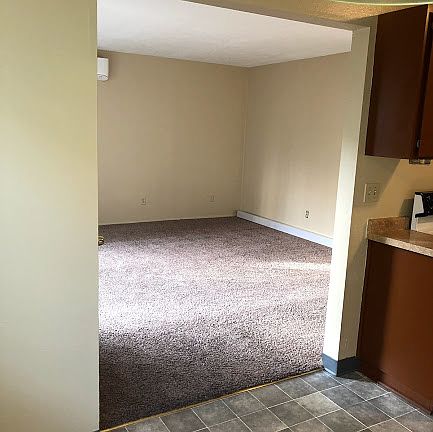 1 year old carpet, freshly shampooed