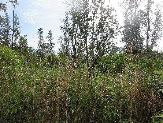 1st image of 5th Ave Lot 2368