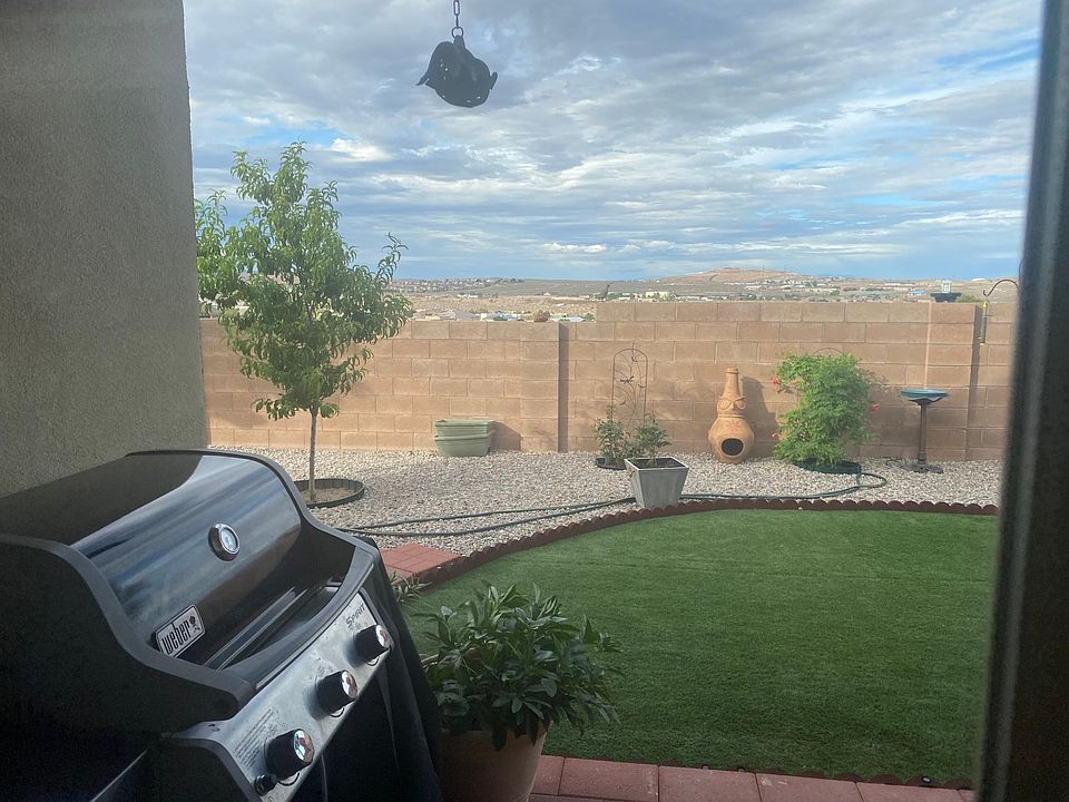 back yard