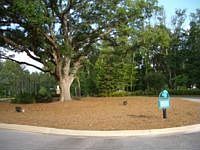 1st image of 423 Millers Branch Dr