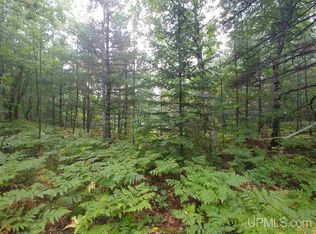 13 Acres Blind #35, Big Bay, MI 49808
