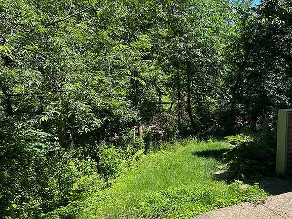 5th image of 2624 Bluffwood Cir