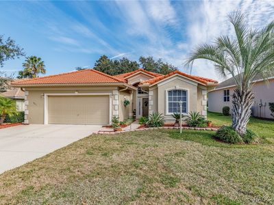 941 W Silver Meadow Loop, Hernando, FL, 34442