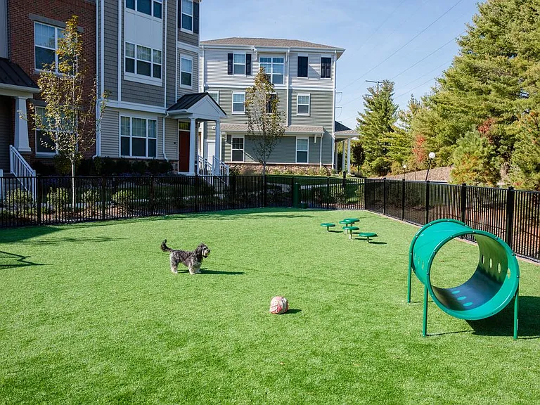 WAG Pet Park