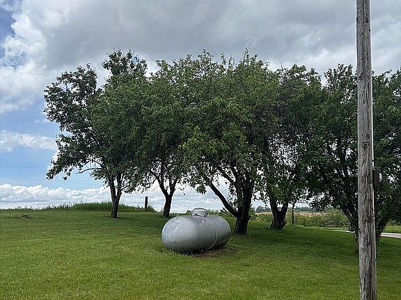 Orchard- Apple & Pear Trees