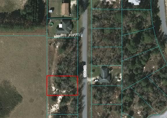 2nd image of LOT 8 Package Olive Cir