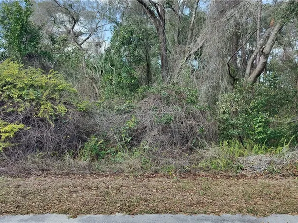 204 Adelphi St, Inverness, FL 34452