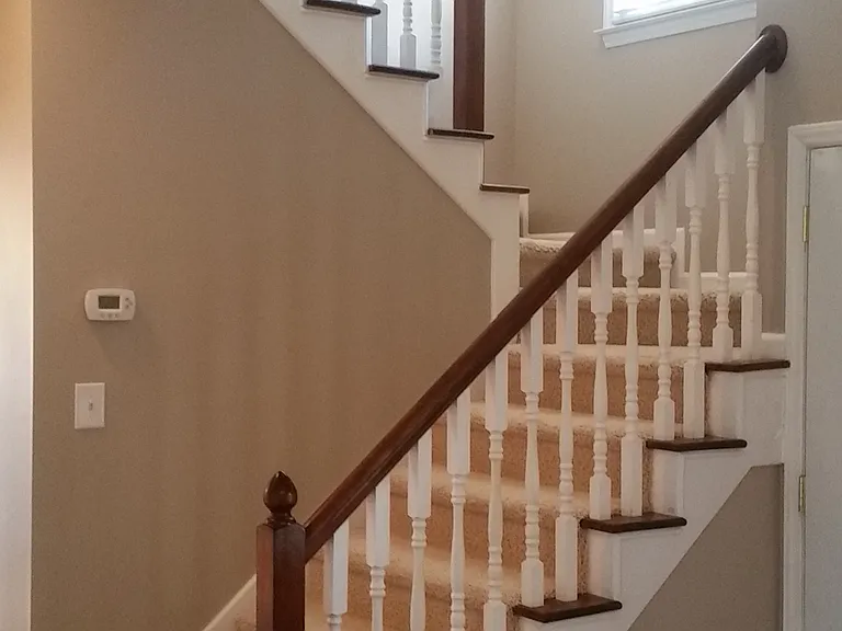 205 Bentpine Dr — Photo 4