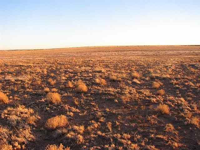 2nd image of Sec 35 Lot 18