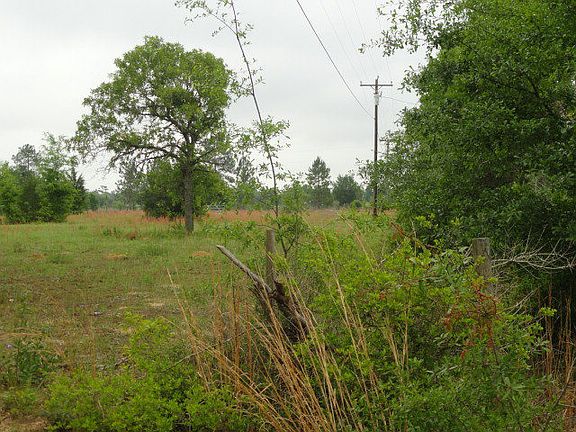 5th image of 2505 Corral Dr