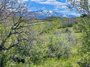 42522 Deerfoot Ln, Steamboat Springs, CO 80487