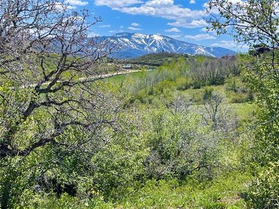 42522 Deerfoot Ln, Steamboat Springs, CO, 80487