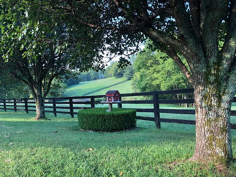 farm scenery