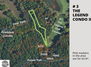 3 Deer Path, Bellaire, MI 49615