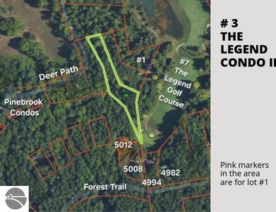 3 Deer Path, Bellaire, MI, 49615