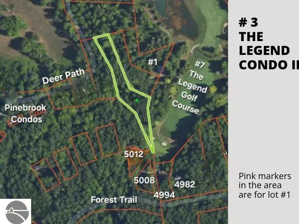 3 Deer Path, Bellaire, MI 49615