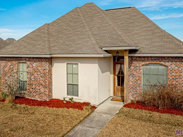 25389 White Lake Ave, Livingston, LA 70754